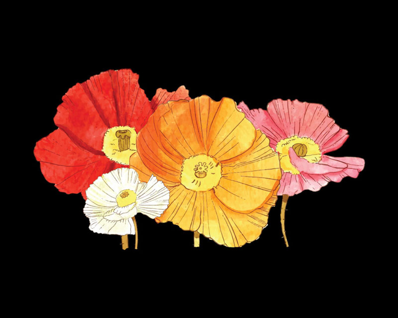 flower_design_op